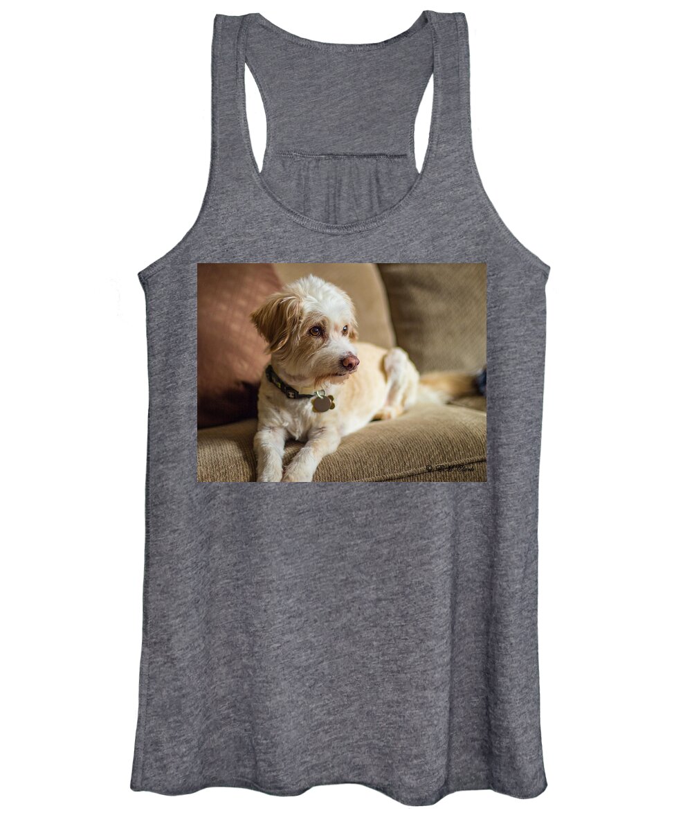 Dog Women's Tank Top featuring the photograph My Best Friend by Ed Clark