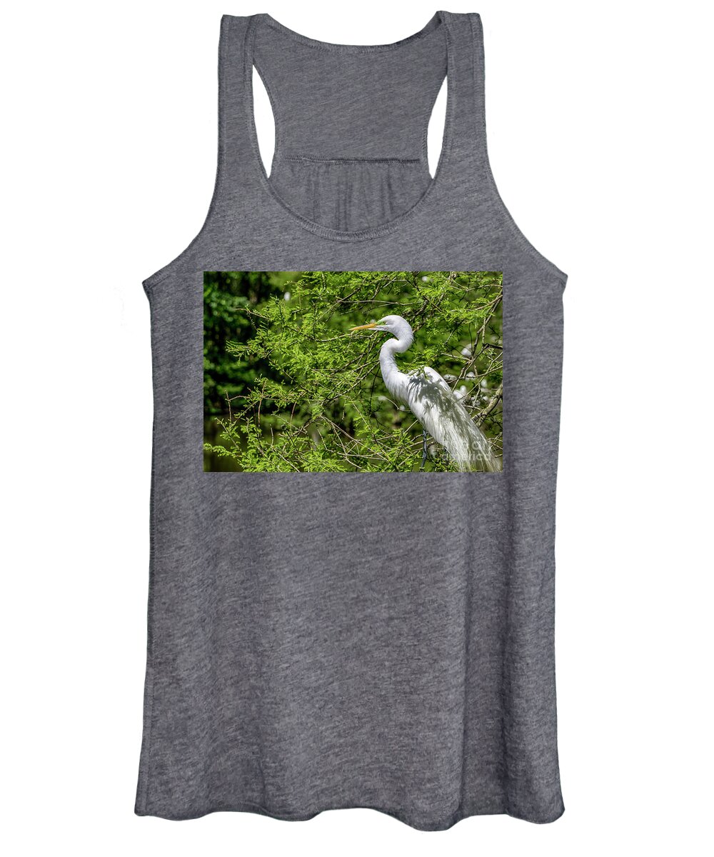 Egret Women's Tank Top featuring the photograph Nesting Egret by David Smith