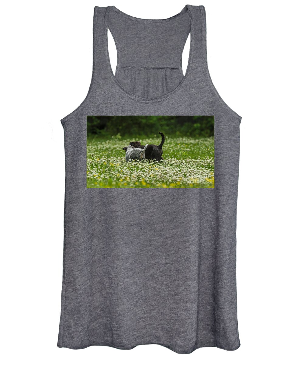 Puppies Women's Tank Top featuring the photograph New friends by Metaphor Photo