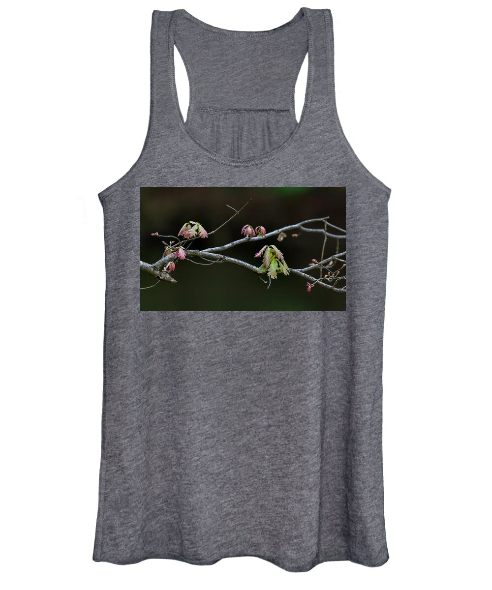 Spring Women's Tank Top featuring the photograph New Life by Kevin Craft