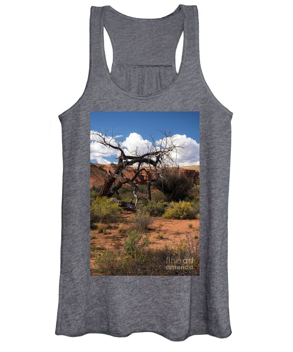 Tree Women's Tank Top featuring the photograph Old Tree in Capital Reef National Park by Cindy Murphy - NightVisions