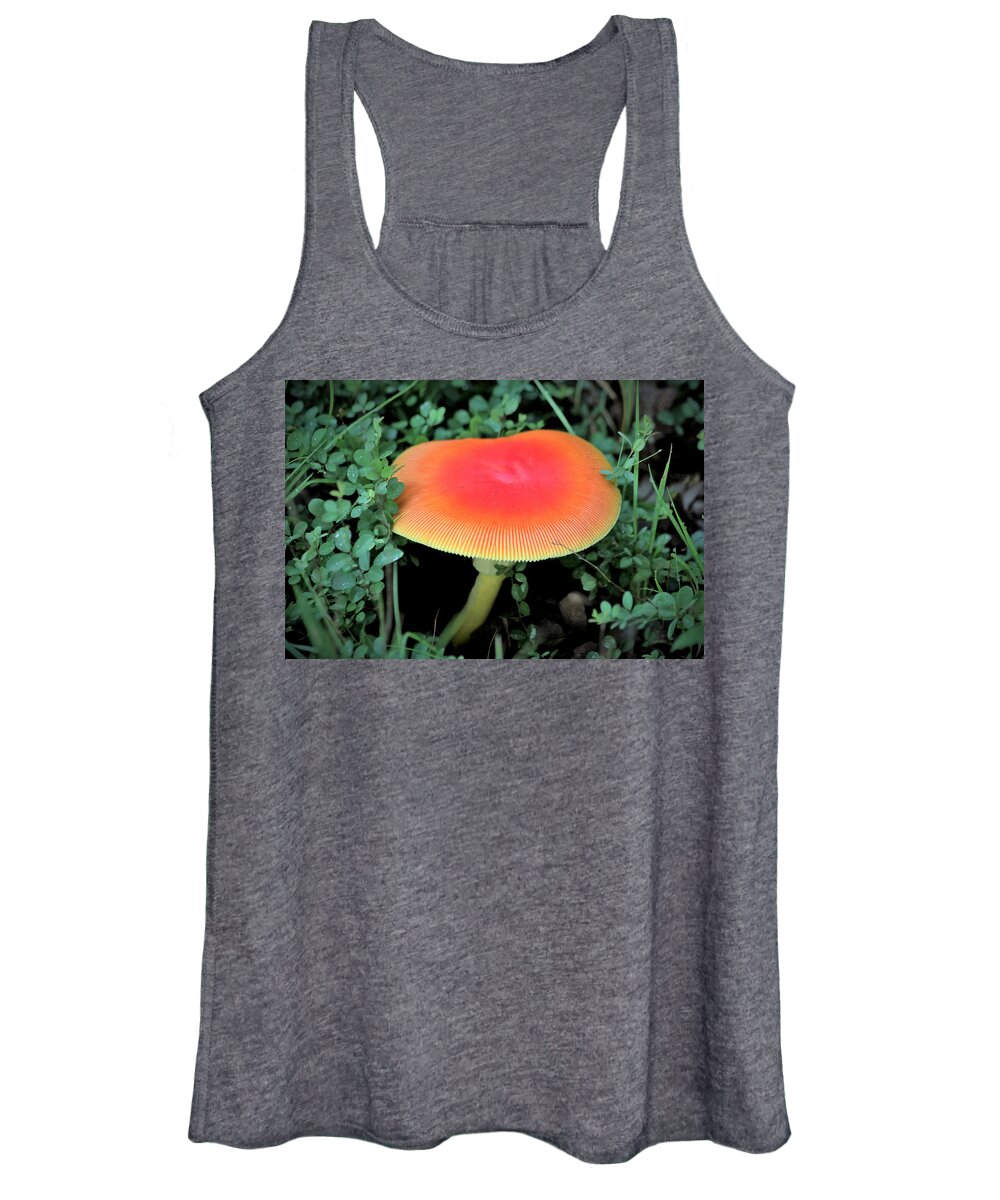 Nature Women's Tank Top featuring the photograph Orange Glow by Sheila Brown