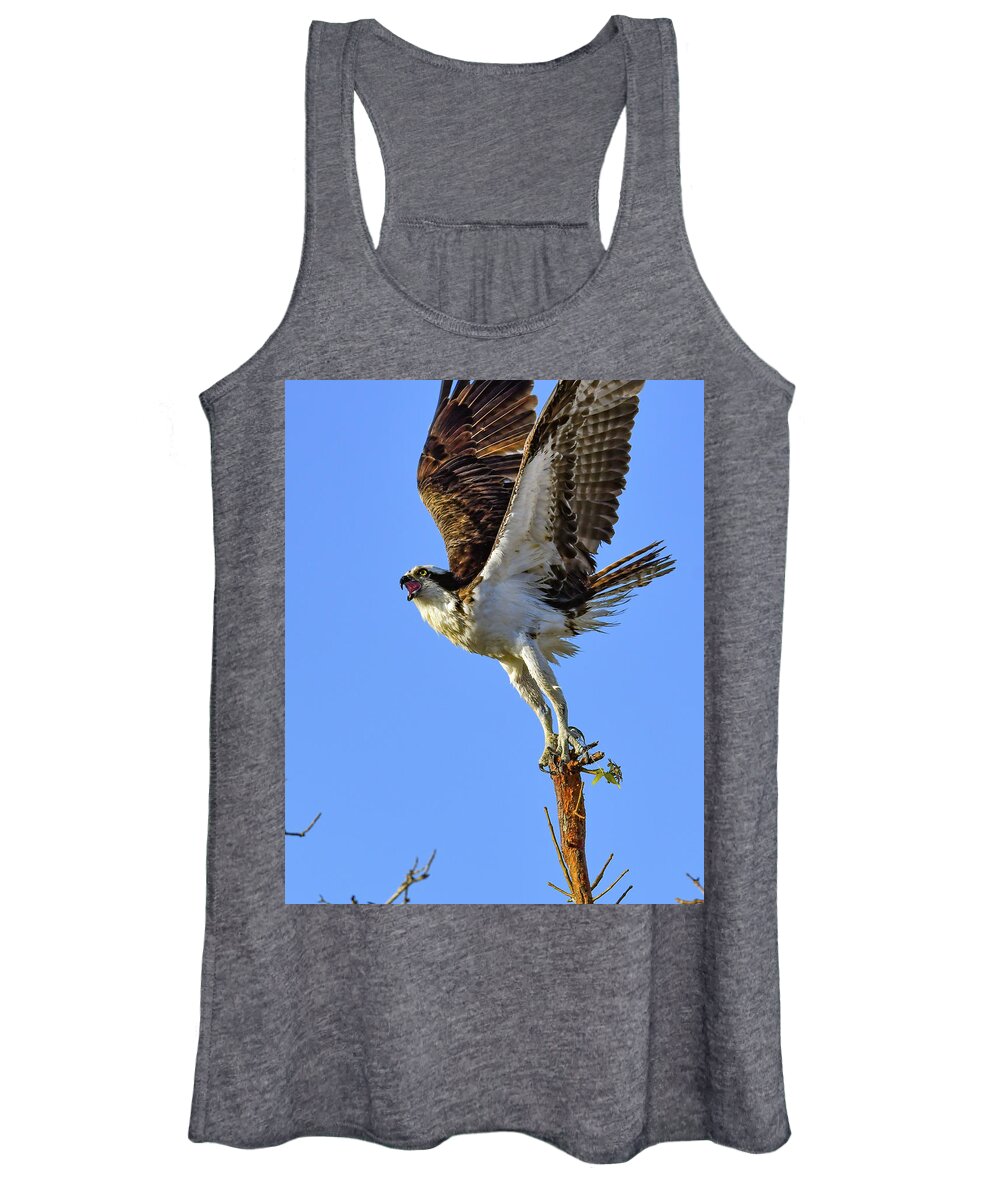 Osprey Women's Tank Top featuring the photograph Osprey Reaching for the Sky by Artful Imagery