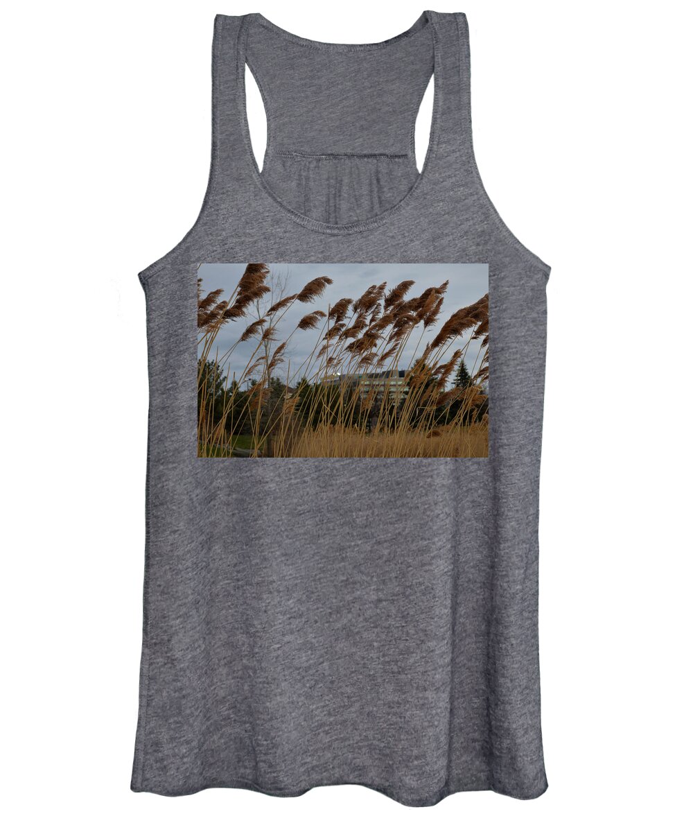Bushes Women's Tank Top featuring the photograph Parc Jarry 1 by Jean-Marc Robert