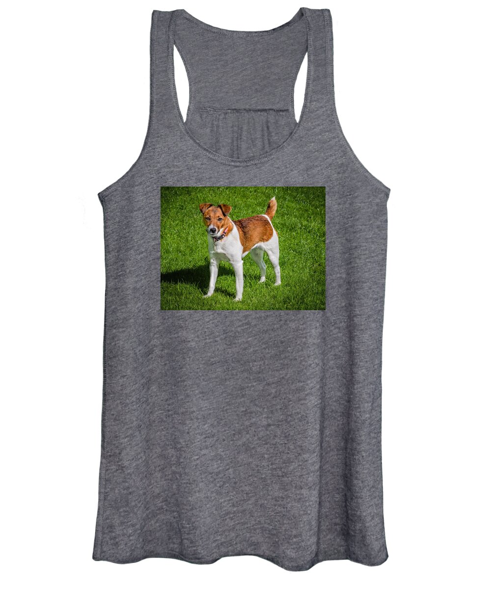 Dog Women's Tank Top featuring the photograph Parson Jack Russell by Nick Bywater