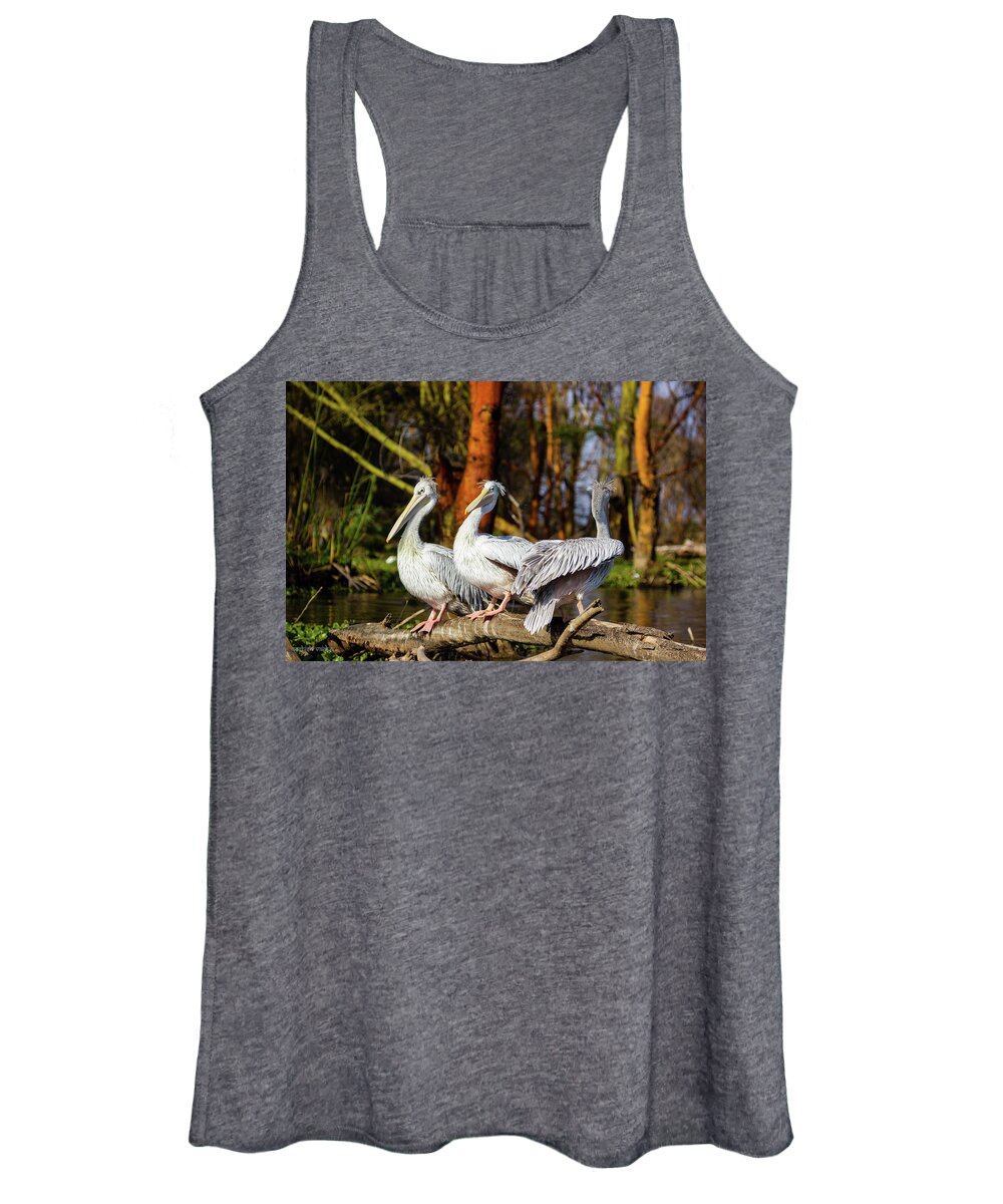 Pelicans Women's Tank Top featuring the photograph Pelicans by Aashish Vaidya