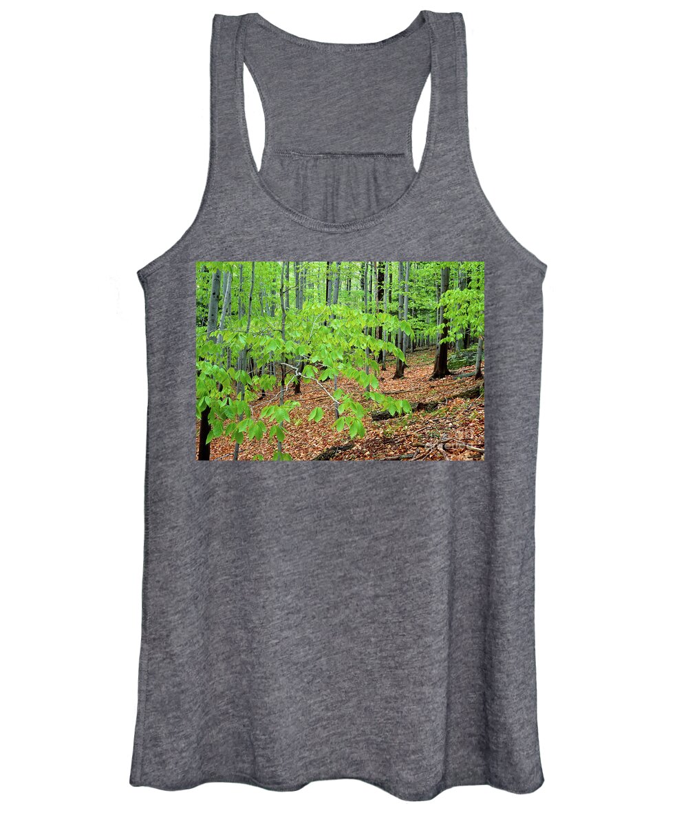 Trees Women's Tank Top featuring the photograph Beech trees in the Spring by Kevin Shields