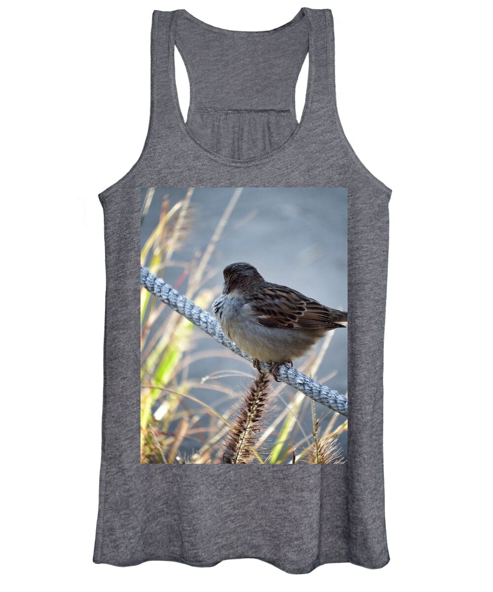 Bird Feathers Sparrow Nature Wings Rope Animal Outdoors Color Women's Tank Top featuring the photograph Perched Sparrow closeup 2 by Andrew Rhine