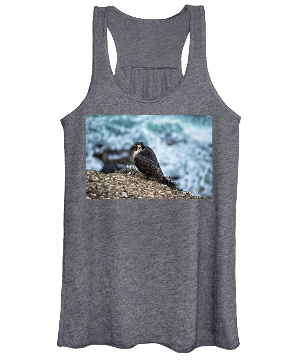 Peregrine Falcon Women's Tank Top featuring the photograph Peregrine Falcon - here's looking at you by Anthony Murphy