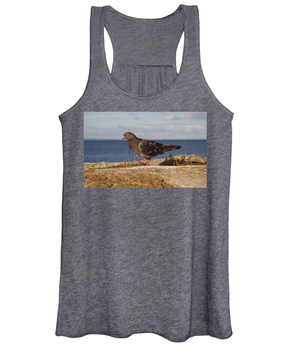 Pigeon Women's Tank Top featuring the photograph Pigeon On Pier Wall by Adrian Wale