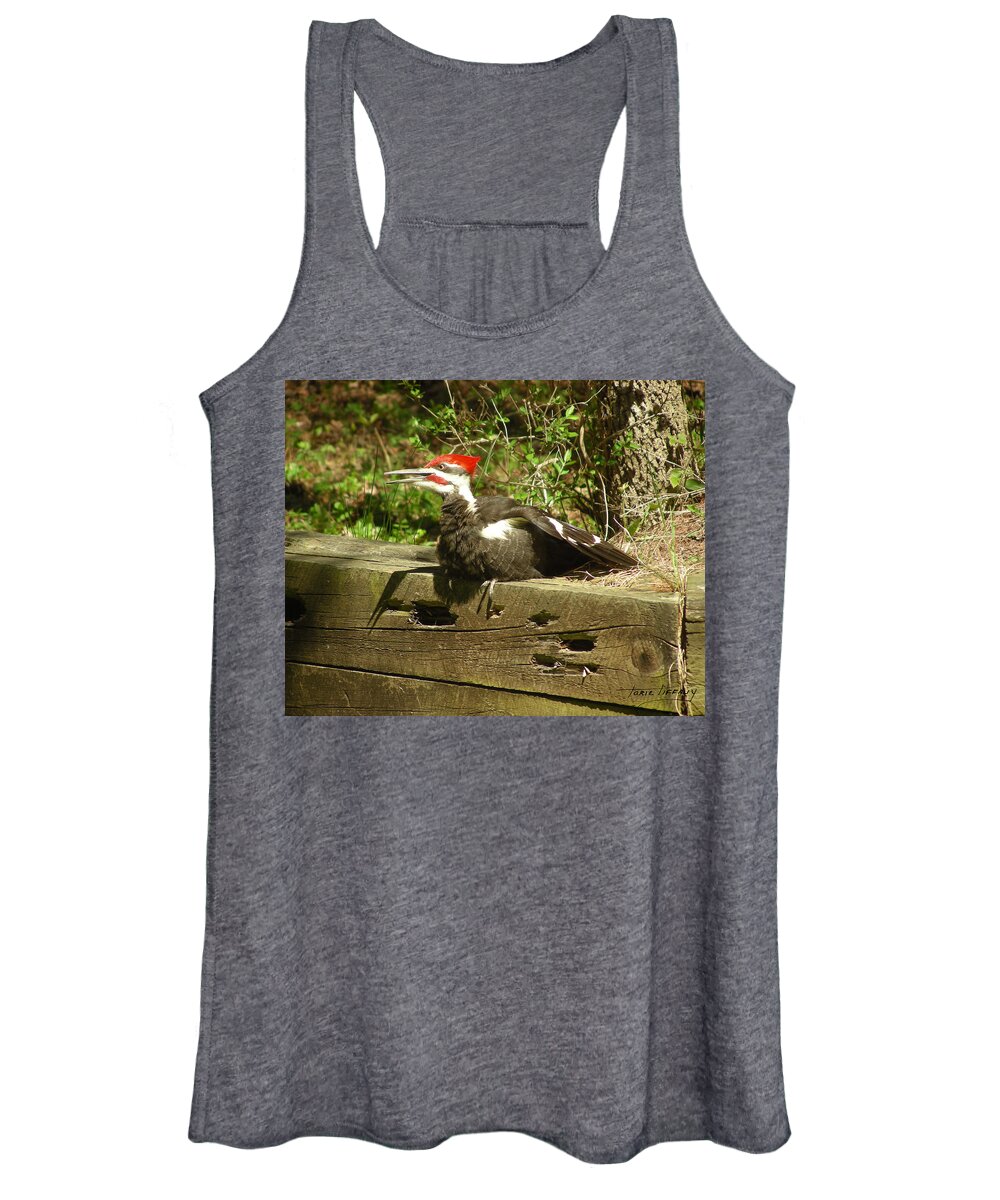 Faunagraphs Women's Tank Top featuring the photograph Pileated Woodpecker1 by Torie Tiffany
