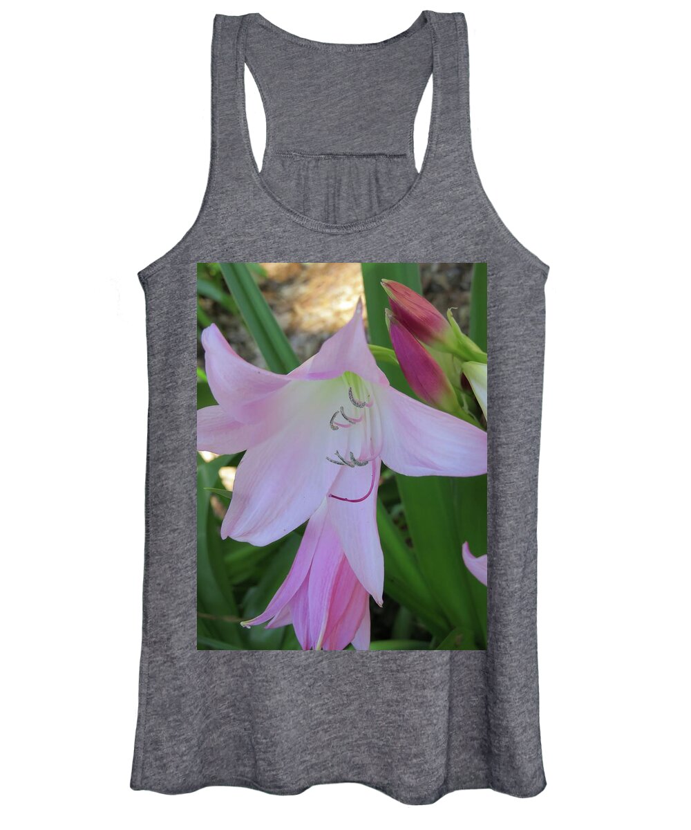 Flowers Women's Tank Top featuring the photograph Pink Crinum Lily by Judith Lauter