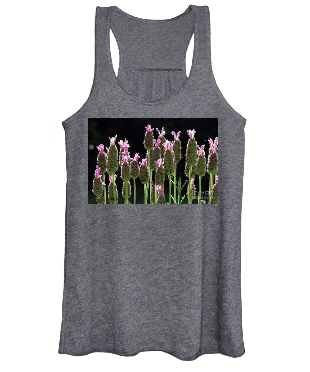 Pink Lavender Flowers Women's Tank Top featuring the photograph Pink lavender by Julia Gavin