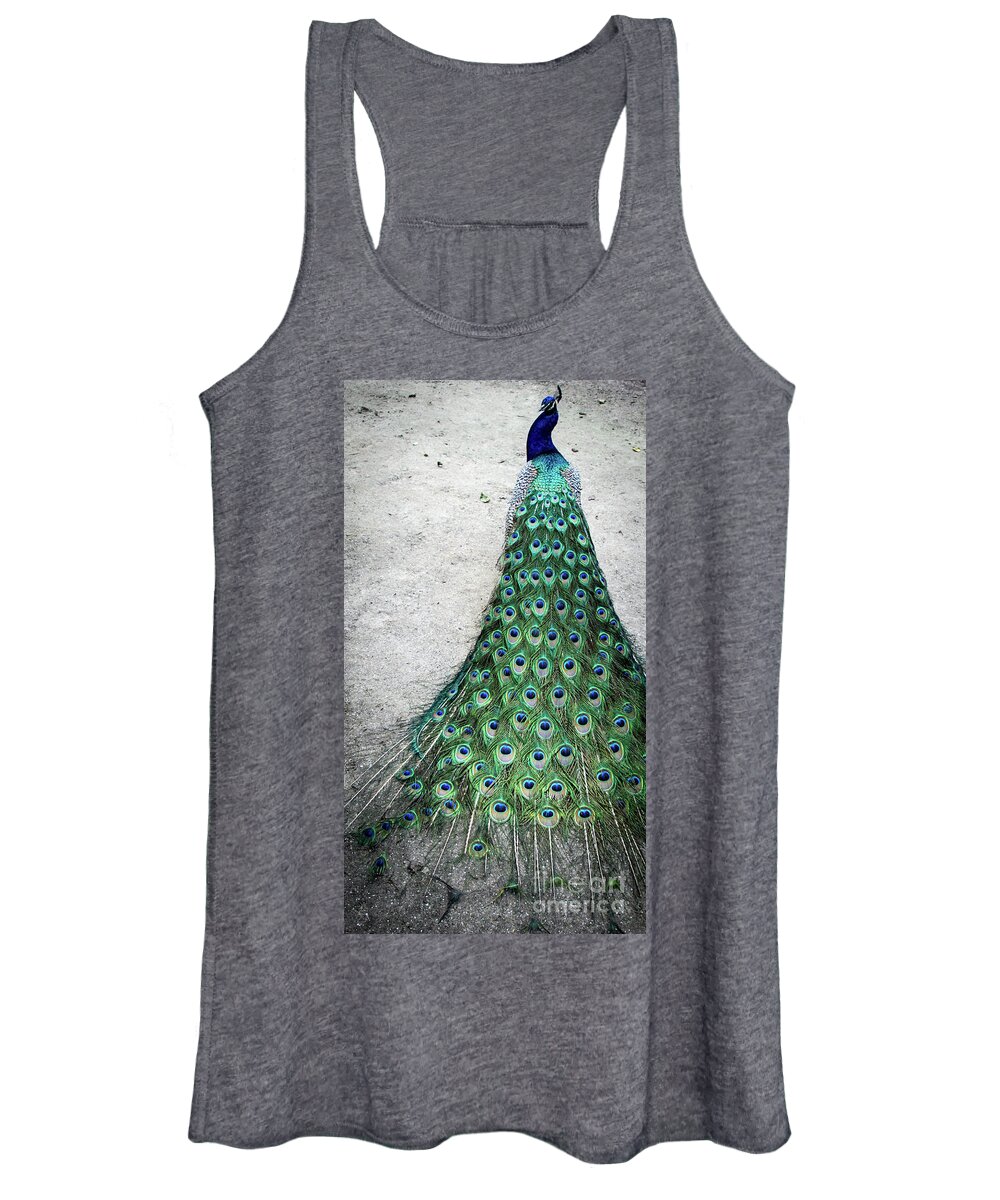 Peacock Women's Tank Top featuring the photograph Poised Peacock by Cheryl McClure