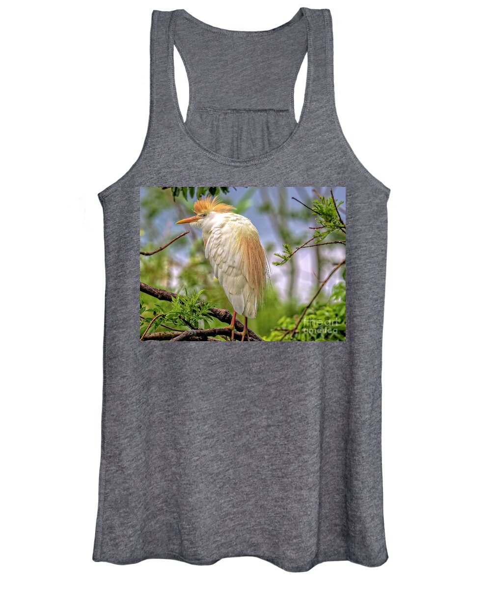 Egrets Women's Tank Top featuring the photograph Portrait of a Cattle Egret by DB Hayes