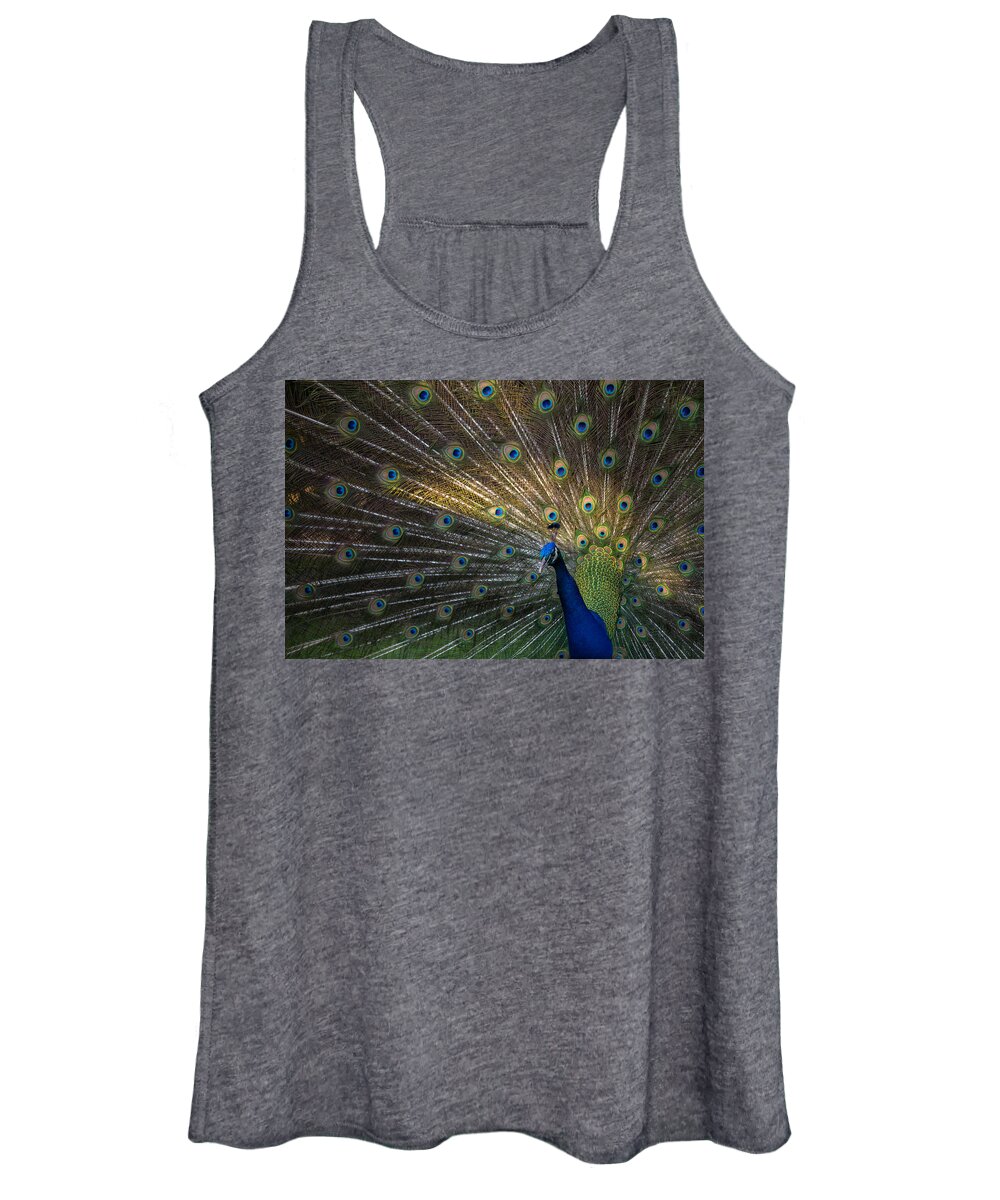 Peacock Women's Tank Top featuring the photograph Posing Peacock by Jim Neal