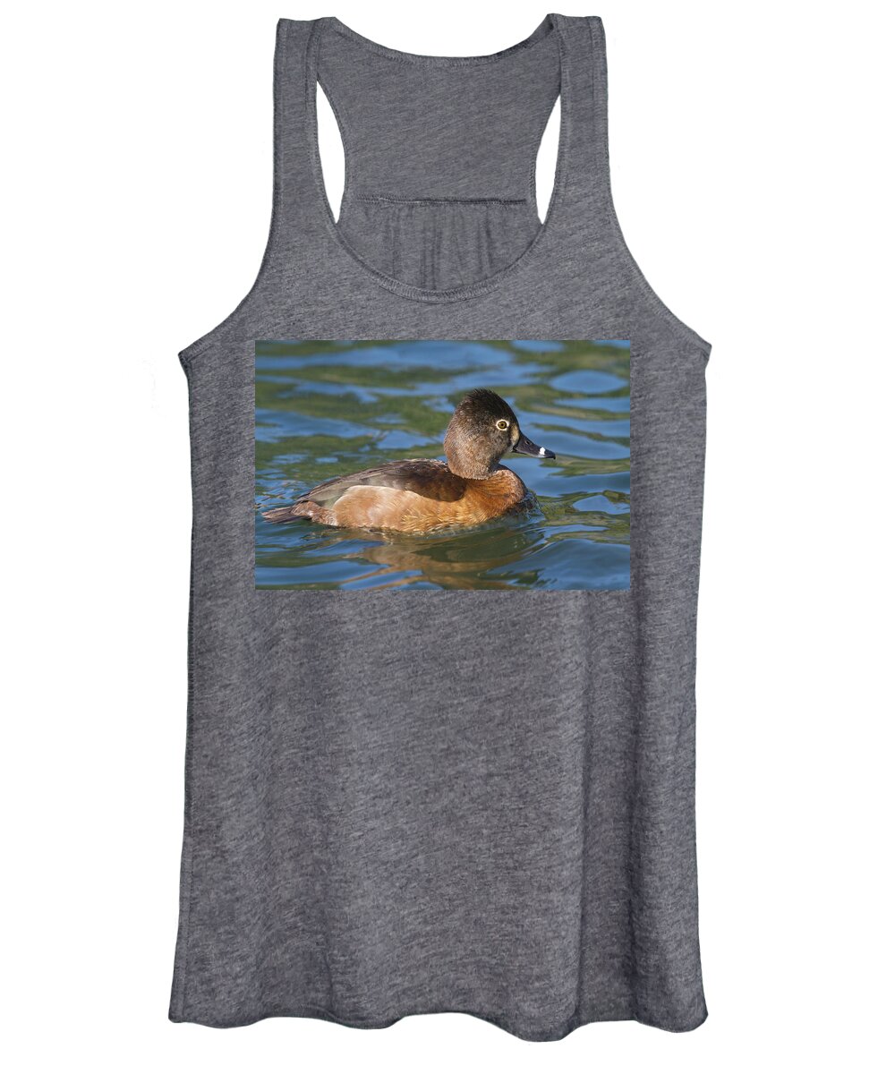 Mark Miller Photos Women's Tank Top featuring the photograph Pretty Ring-necked Duck by Mark Miller