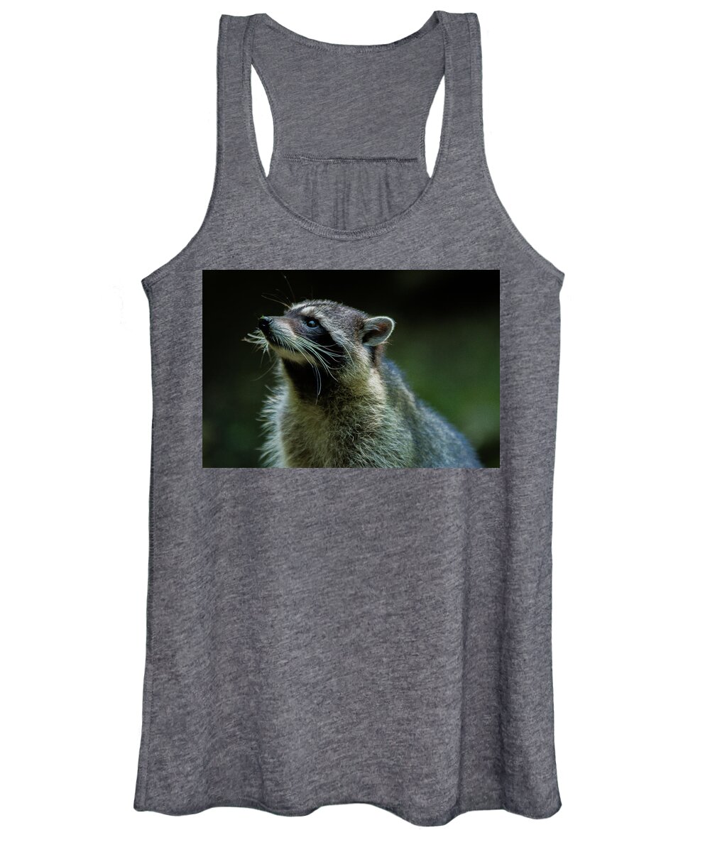 Nature Women's Tank Top featuring the photograph Raccoon 1 by Jason Brooks