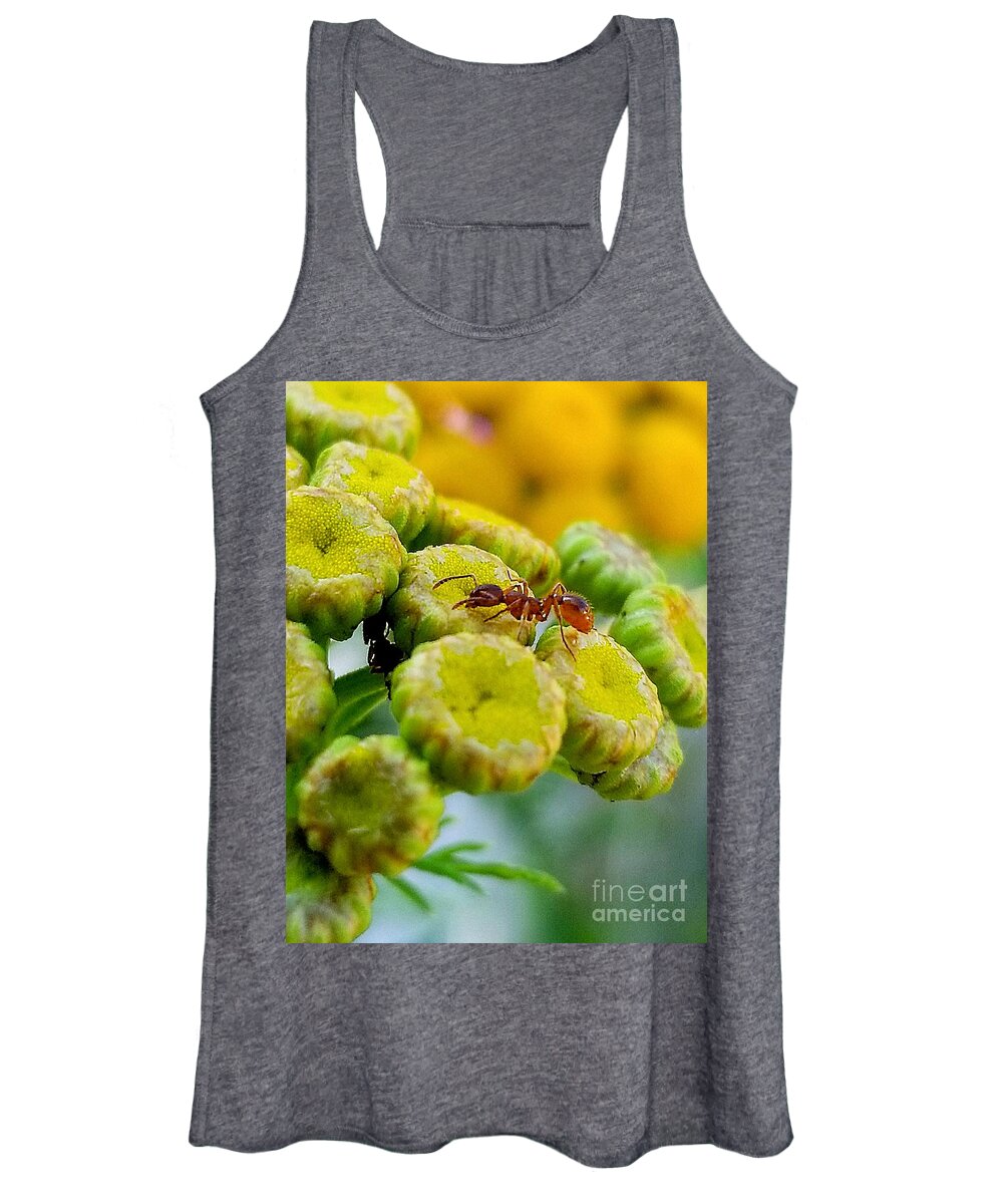 Sea Women's Tank Top featuring the photograph Red Ant by Michael Graham