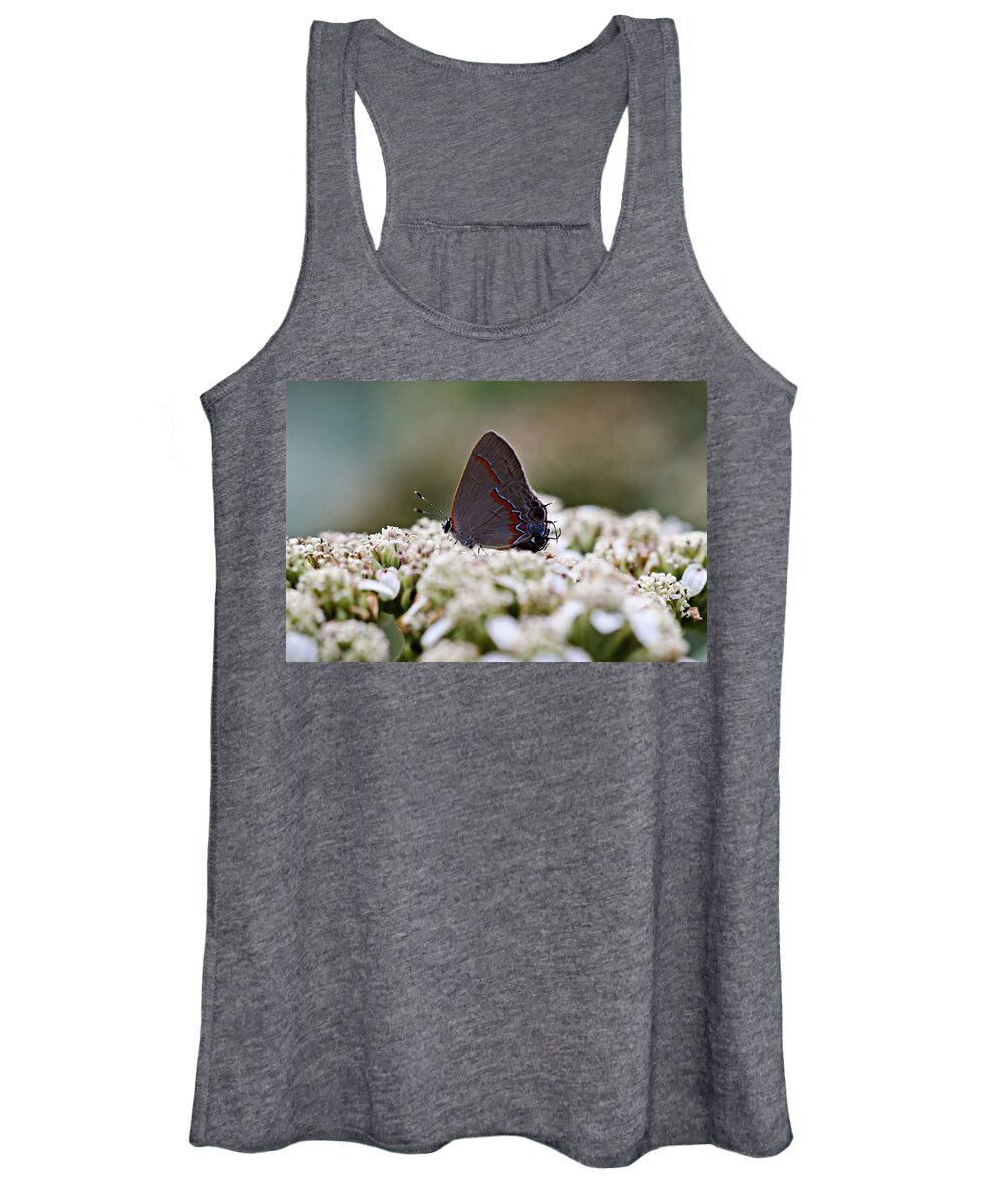 Red Women's Tank Top featuring the photograph Red banded hairstreak butterfly by James Smullins