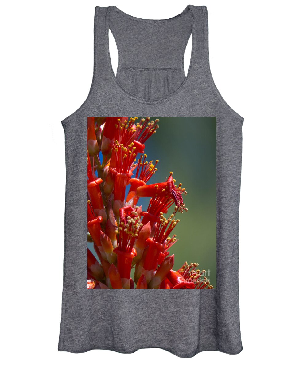 Red Women's Tank Top featuring the photograph Red Cactus Flower 1 by Christy Garavetto