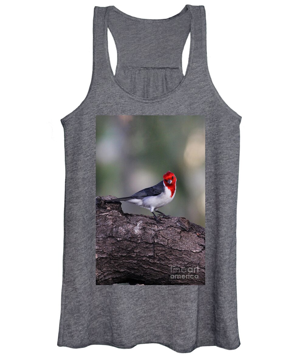 Bird Women's Tank Top featuring the photograph Red Crested Posing by Jennifer Robin