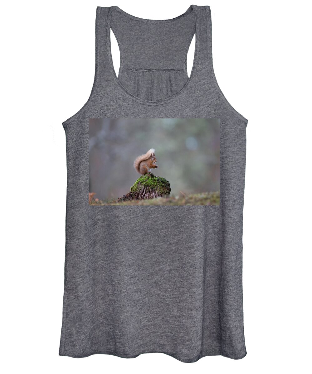 Red Women's Tank Top featuring the photograph Red Squirrel Peeling A Hazelnut by Pete Walkden