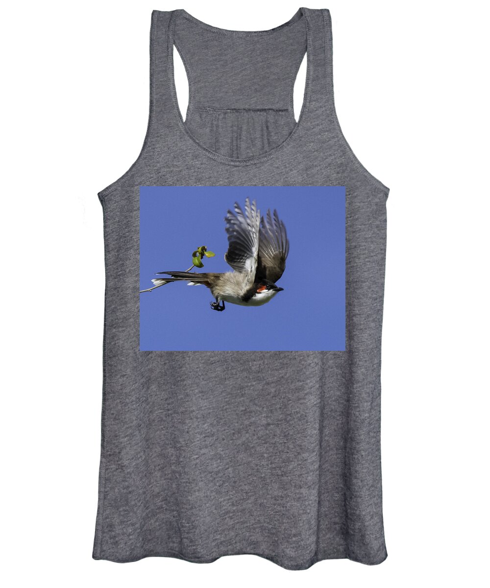 Florida Women's Tank Top featuring the photograph Red Whiskered Bulbul by Roberta Kayne