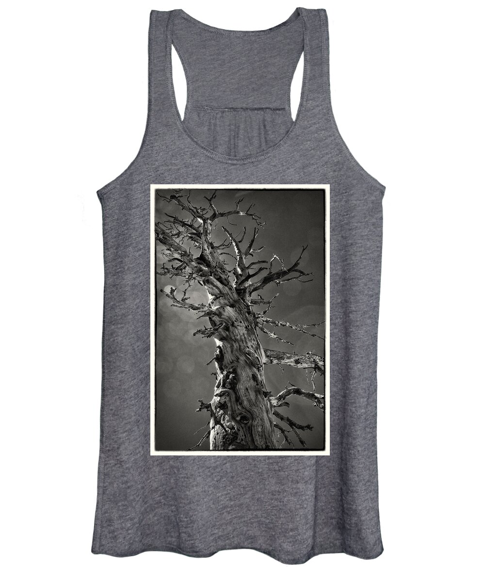 Tree Women's Tank Top featuring the photograph Resilience in the Sierras by Lawrence Knutsson
