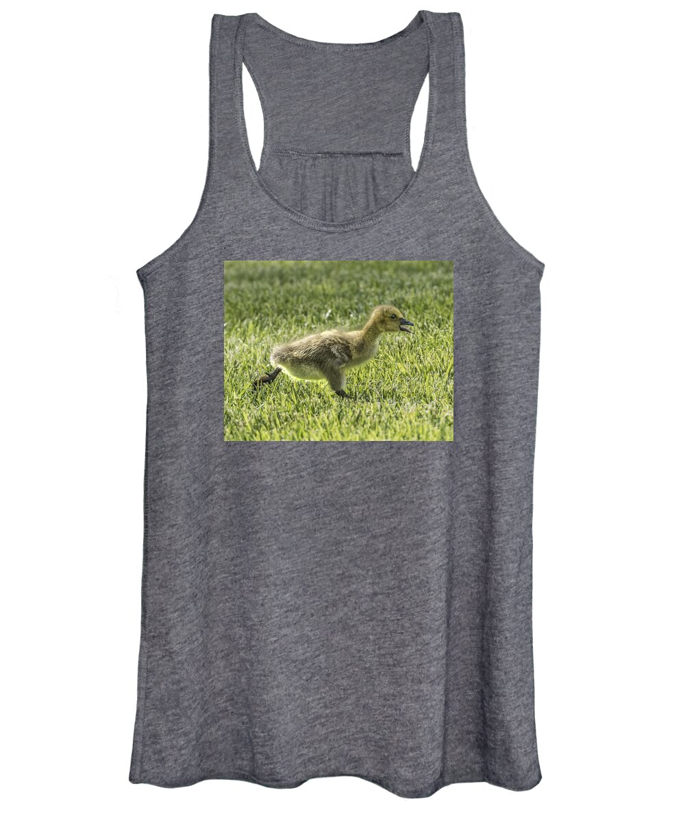 Goose Women's Tank Top featuring the photograph Run Forrest Run by William Bitman