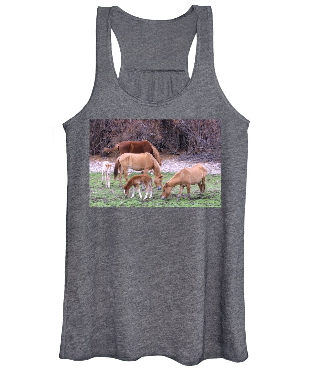 Arizona Women's Tank Top featuring the photograph Salt River Wild Horses in Winter by Judy Kennedy