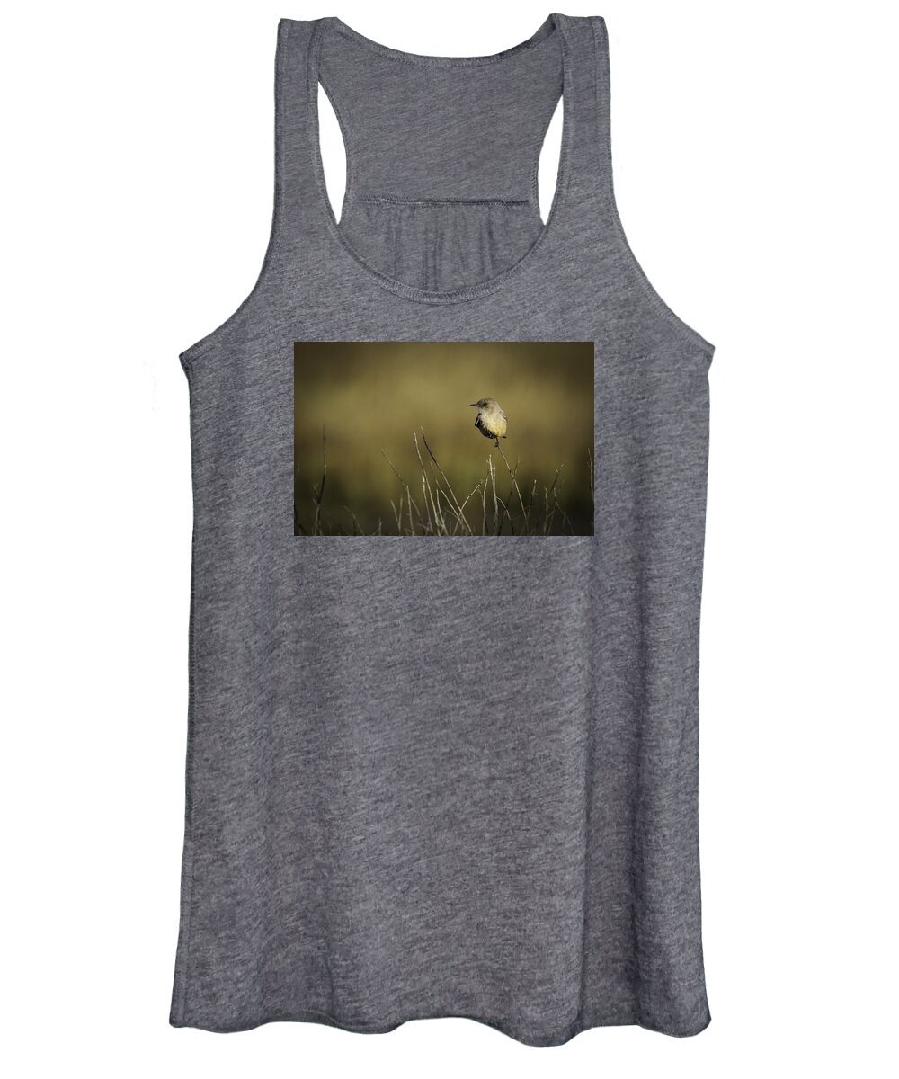 Bird Women's Tank Top featuring the photograph Say's Flycatcher by Dusty Wynne