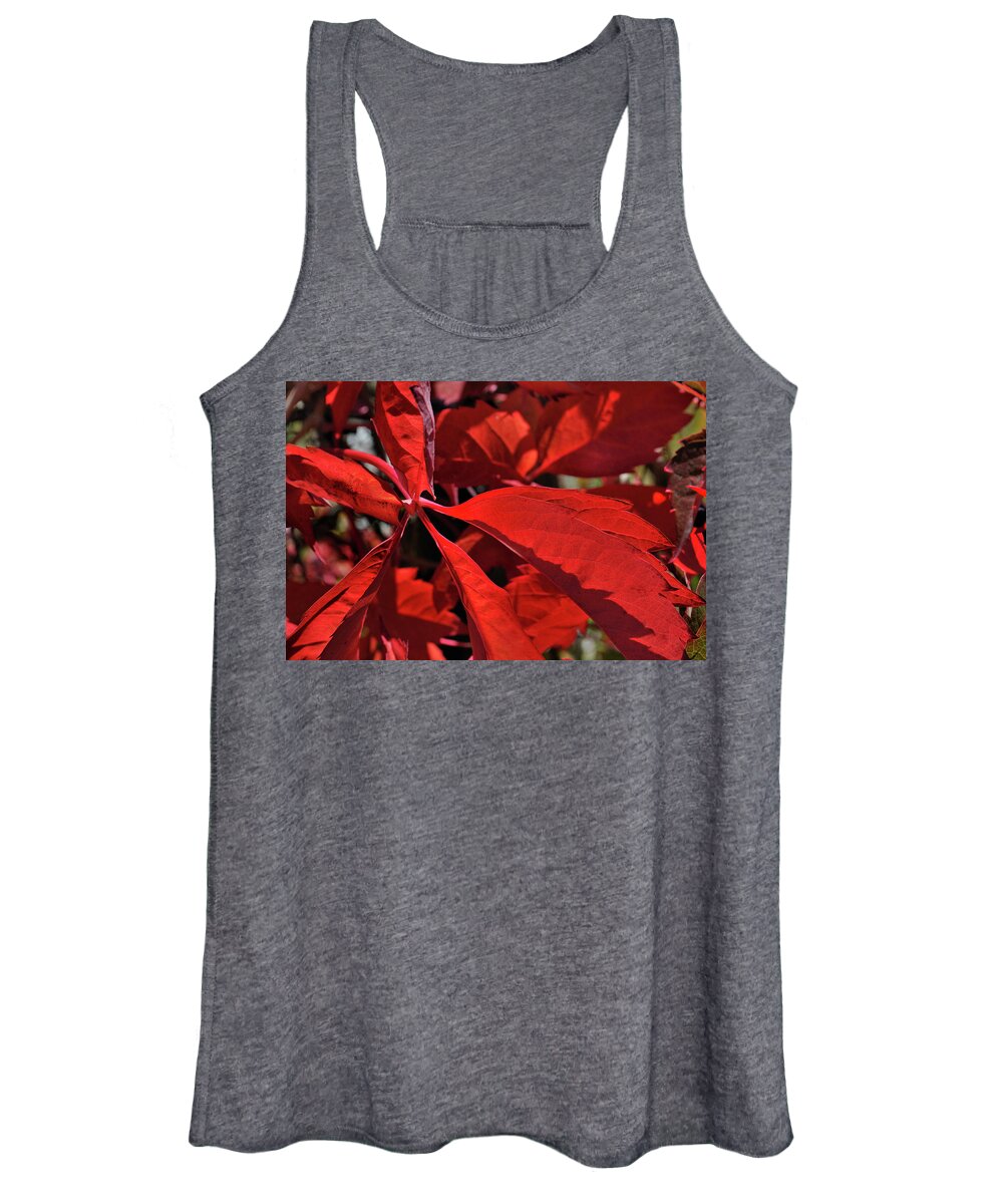 Nature Women's Tank Top featuring the photograph Scarlet Intensity by Ron Cline
