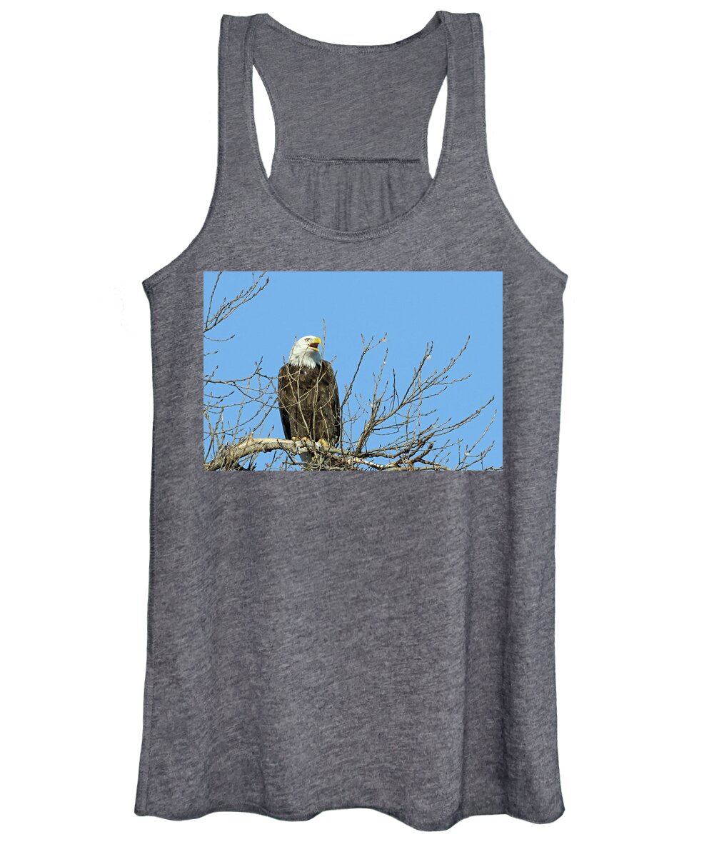 Eagle Women's Tank Top featuring the photograph Screeching Eagle by Brook Burling