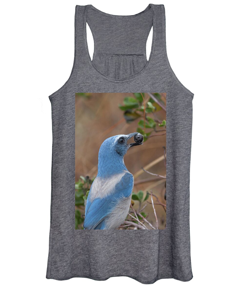 Scrub Jay Women's Tank Top featuring the photograph Scrub Jay with Acorn by Paul Rebmann