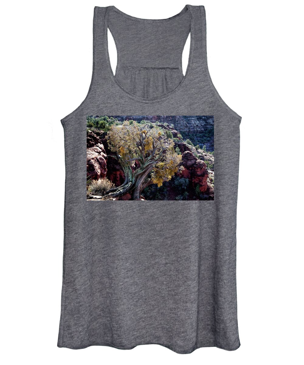 Curly Juniper Women's Tank Top featuring the photograph Sedona Tree #2 by David Chasey