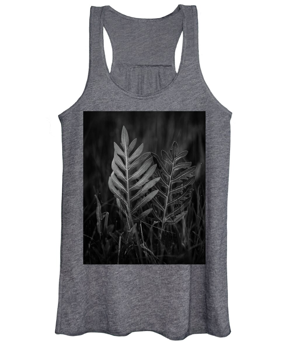 Plant Women's Tank Top featuring the photograph Sensitive Fern by Jeff Phillippi