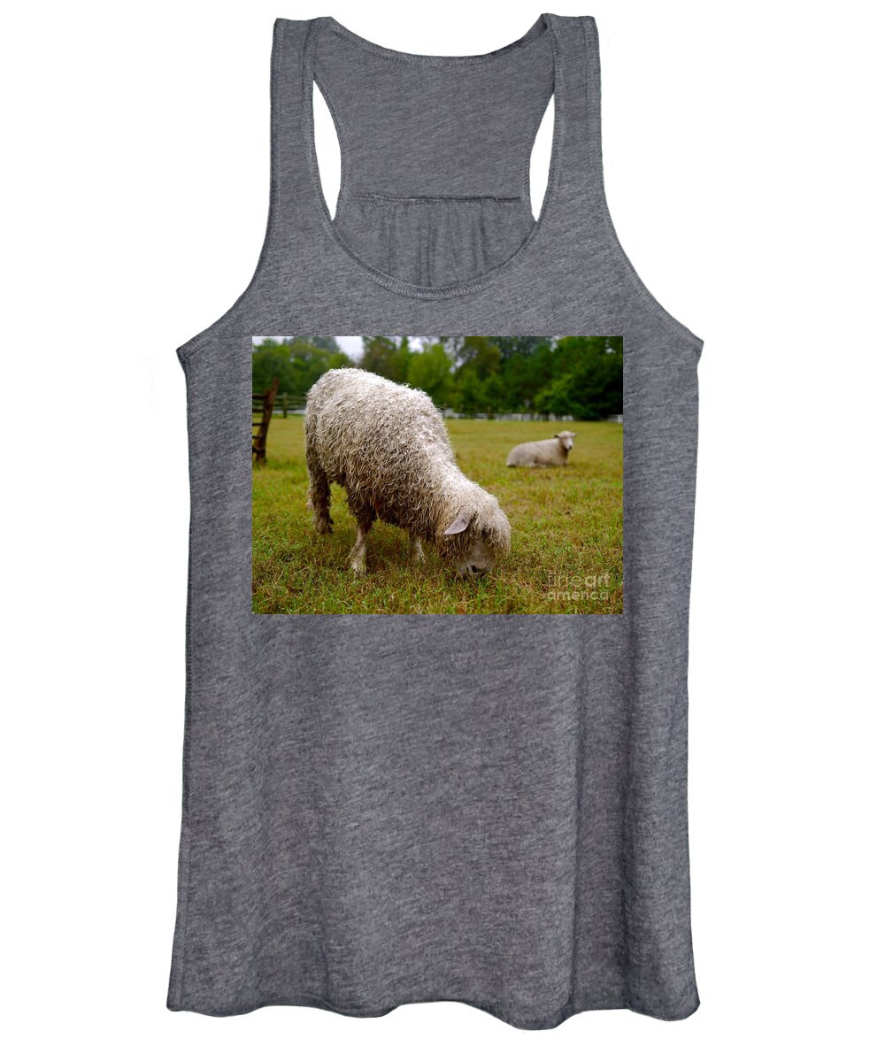 Sheep Women's Tank Top featuring the photograph Sheep Begin a New Day by Lara Morrison
