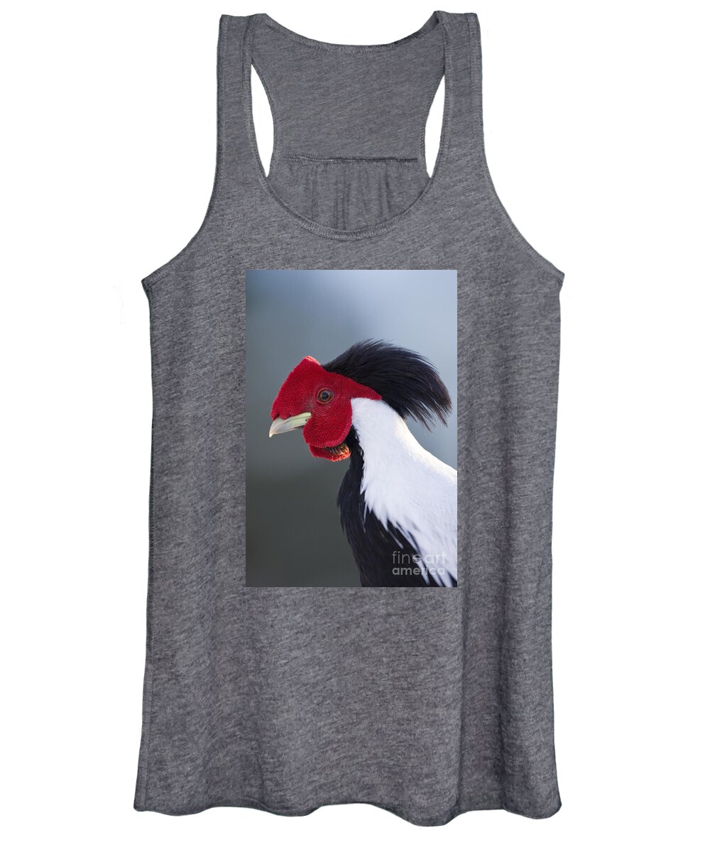 Silver Women's Tank Top featuring the photograph Silver by Douglas Kikendall