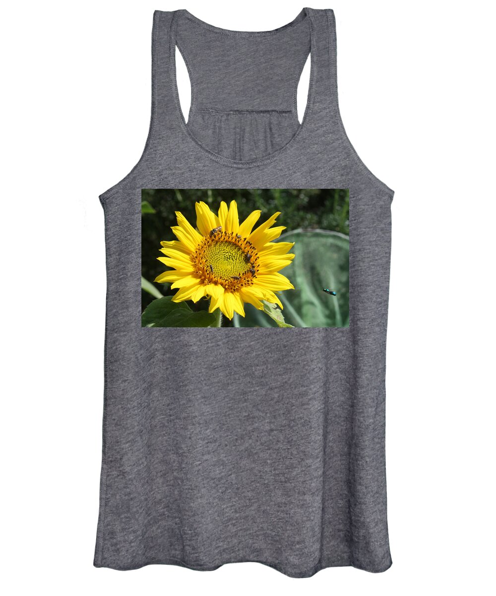 Sunflower Women's Tank Top featuring the photograph Skipping Spring by Ismael Cavazos