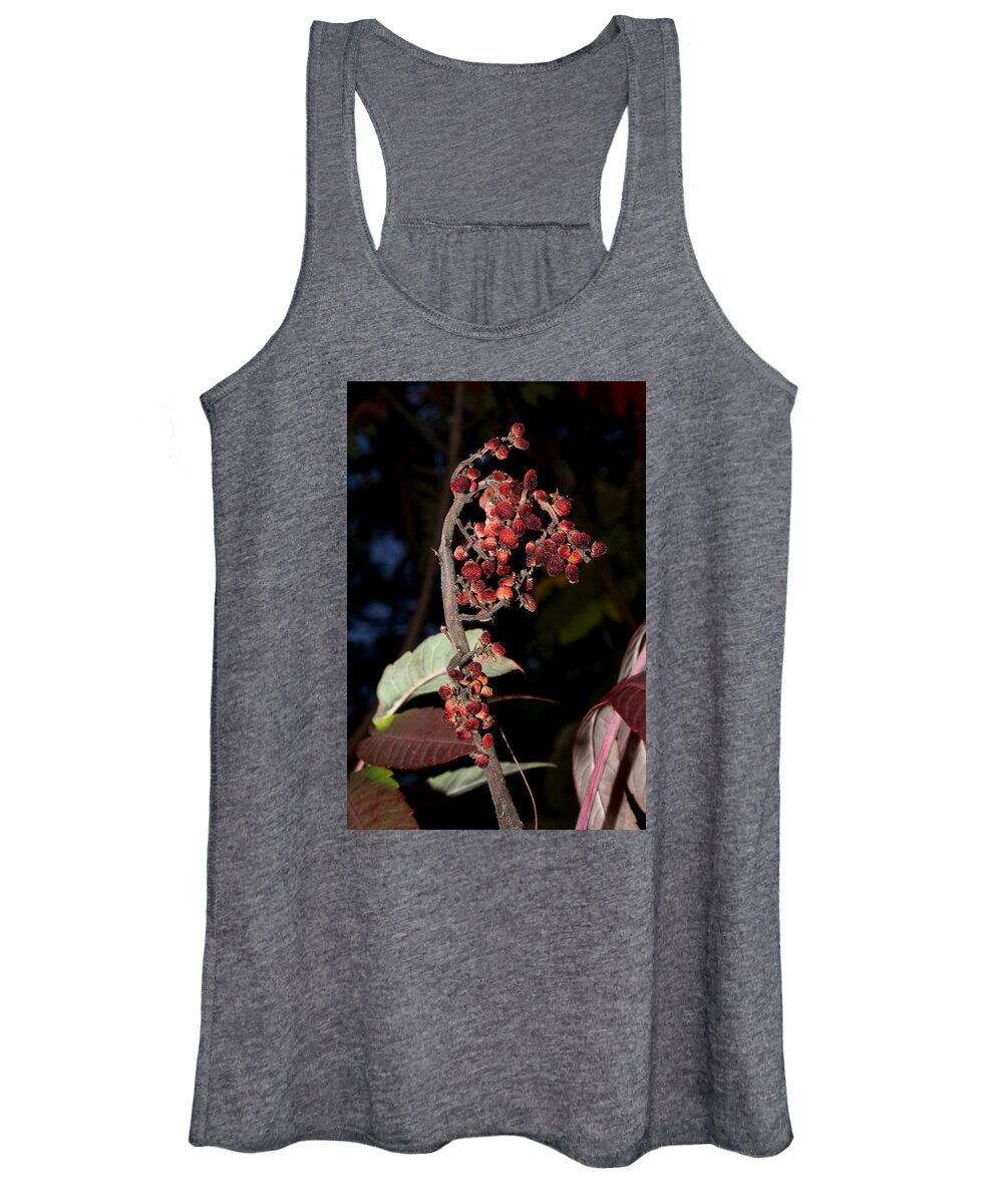 Nature Women's Tank Top featuring the photograph Smooth Sumac Flower by Robert Morin