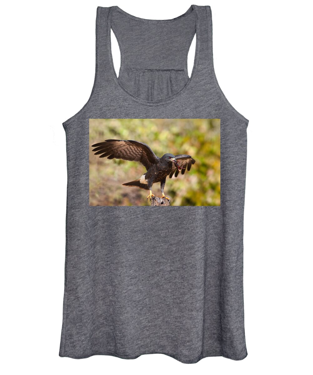Snail Kite Women's Tank Top featuring the photograph Snail Kite with Crab in Pantanal by Aivar Mikko