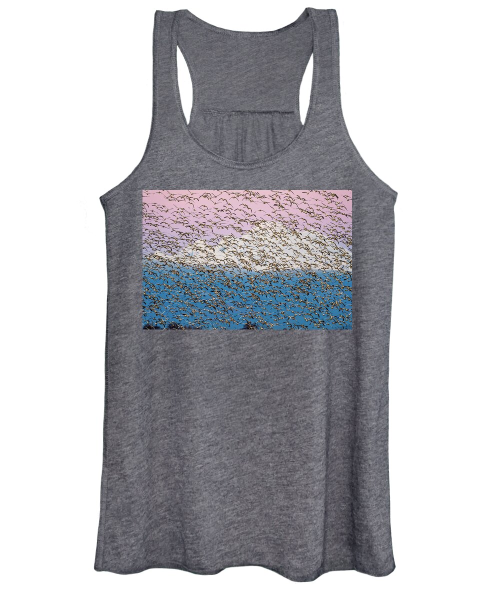 Snow Geese Women's Tank Top featuring the photograph Snow geese at sunset by Yoshiki Nakamura
