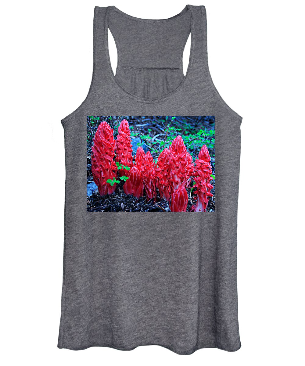 Lake Tahoe Women's Tank Top featuring the photograph Snowflower Pow Wow by Sean Sarsfield