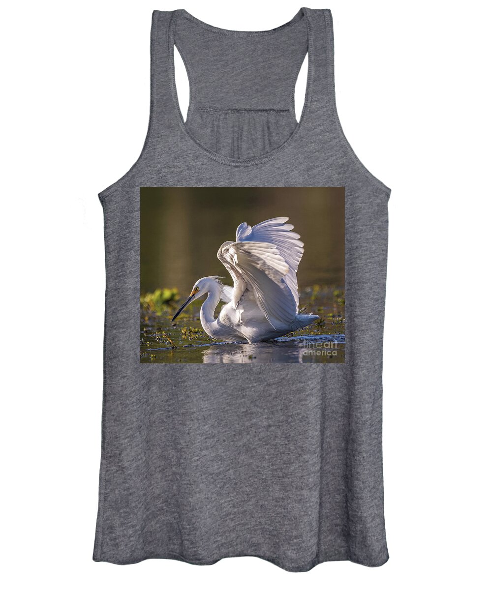 Nature Women's Tank Top featuring the photograph Snowy Egret Hunting - Egretta Thula by DB Hayes