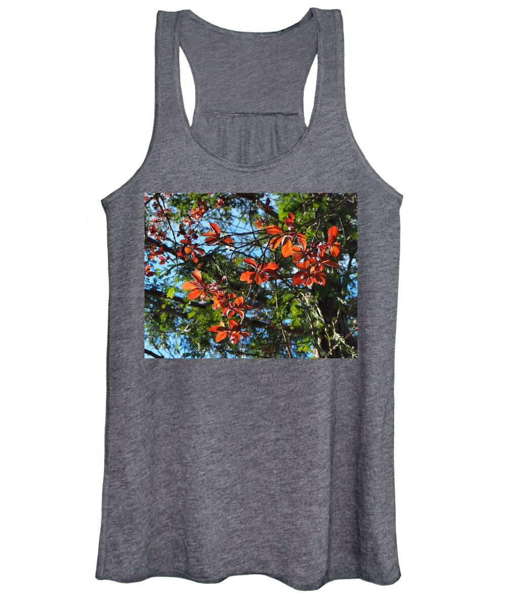 Botanical Women's Tank Top featuring the photograph Spring Backlight by Richard Thomas