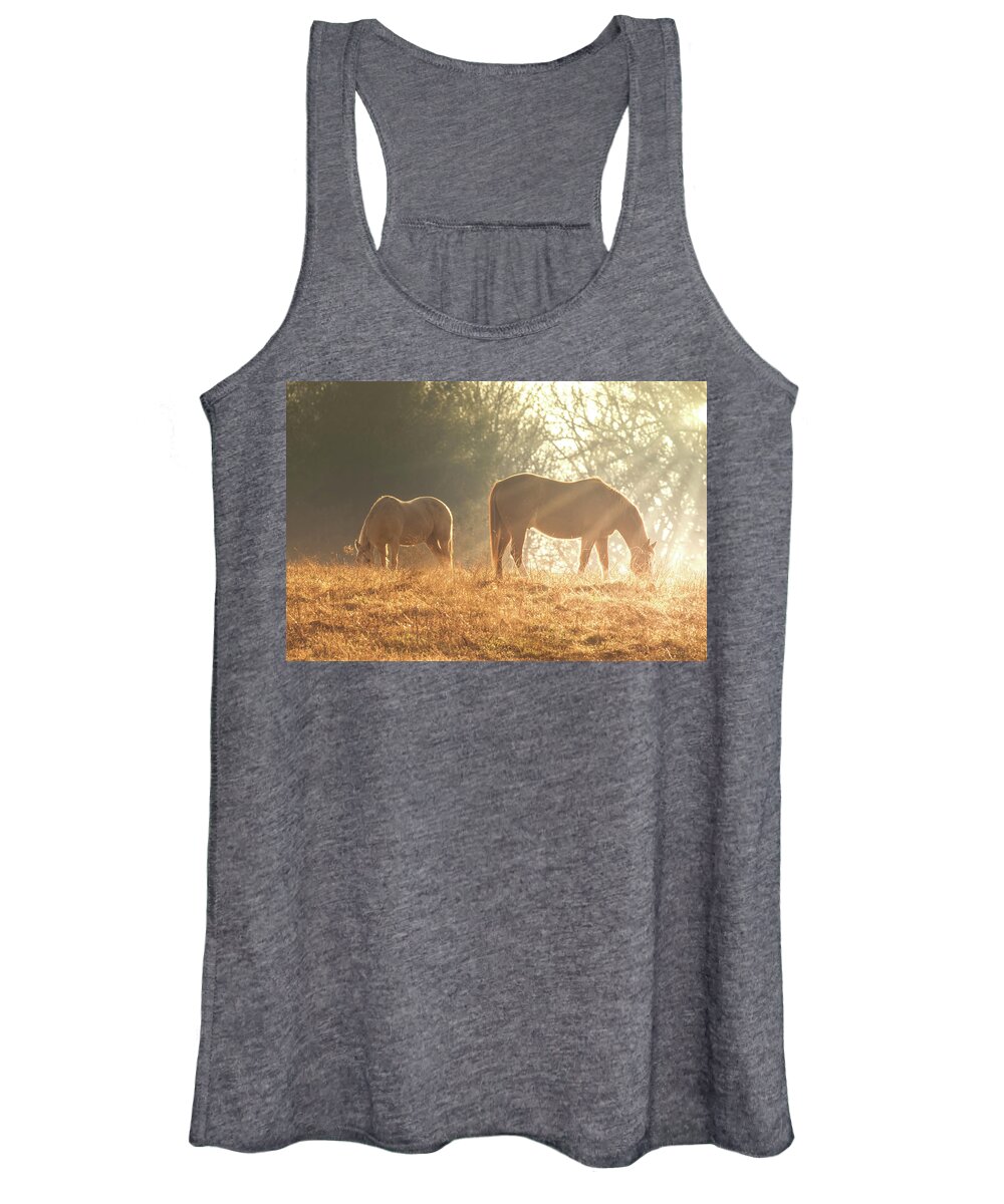 Horses Women's Tank Top featuring the photograph Spring morning in the Ozarks by Allin Sorenson