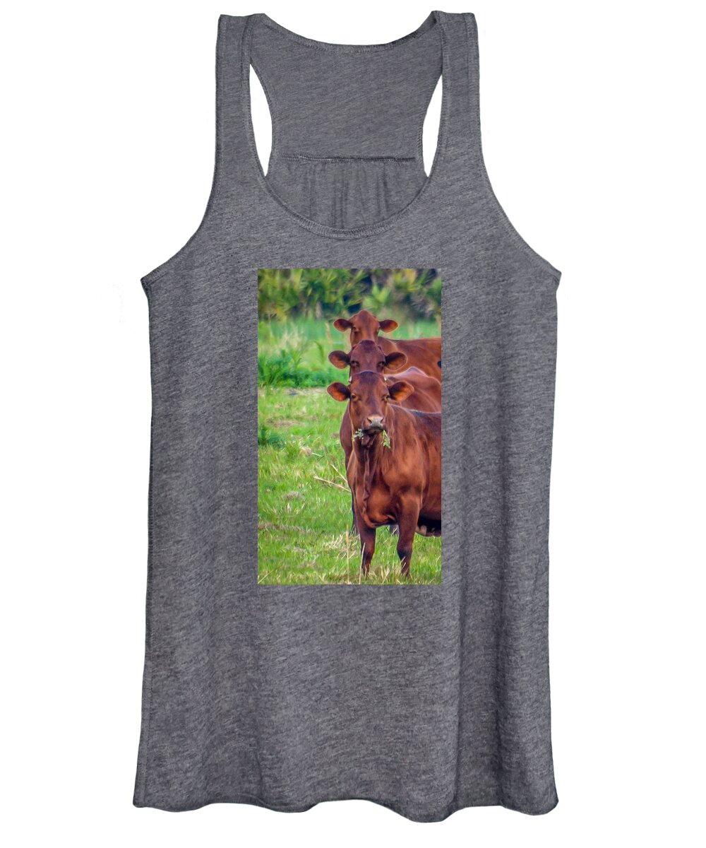 Cows Women's Tank Top featuring the photograph Stacked Up Cows     by Tom Claud