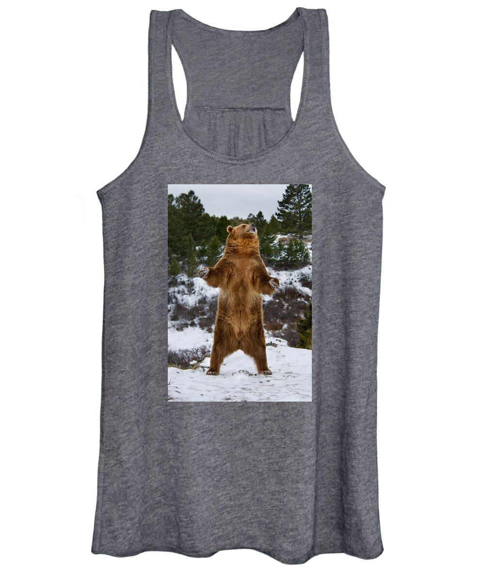 Bear Women's Tank Top featuring the photograph Standing Grizzly Bear by Scott Read
