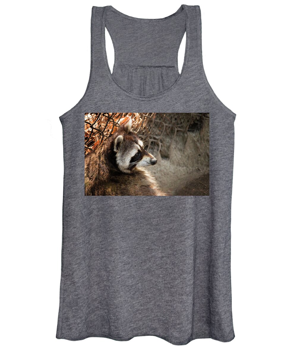 Raccoon Women's Tank Top featuring the photograph Staring Raccooon by Travis Rogers
